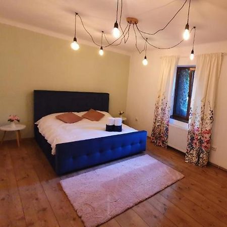 Home Central Apartment Braşov Dış mekan fotoğraf